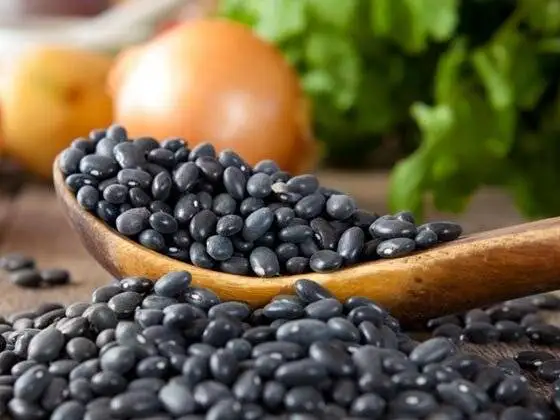 این پروتئین های گیاهی خطر بیماری قلبی را کاهش می دهند