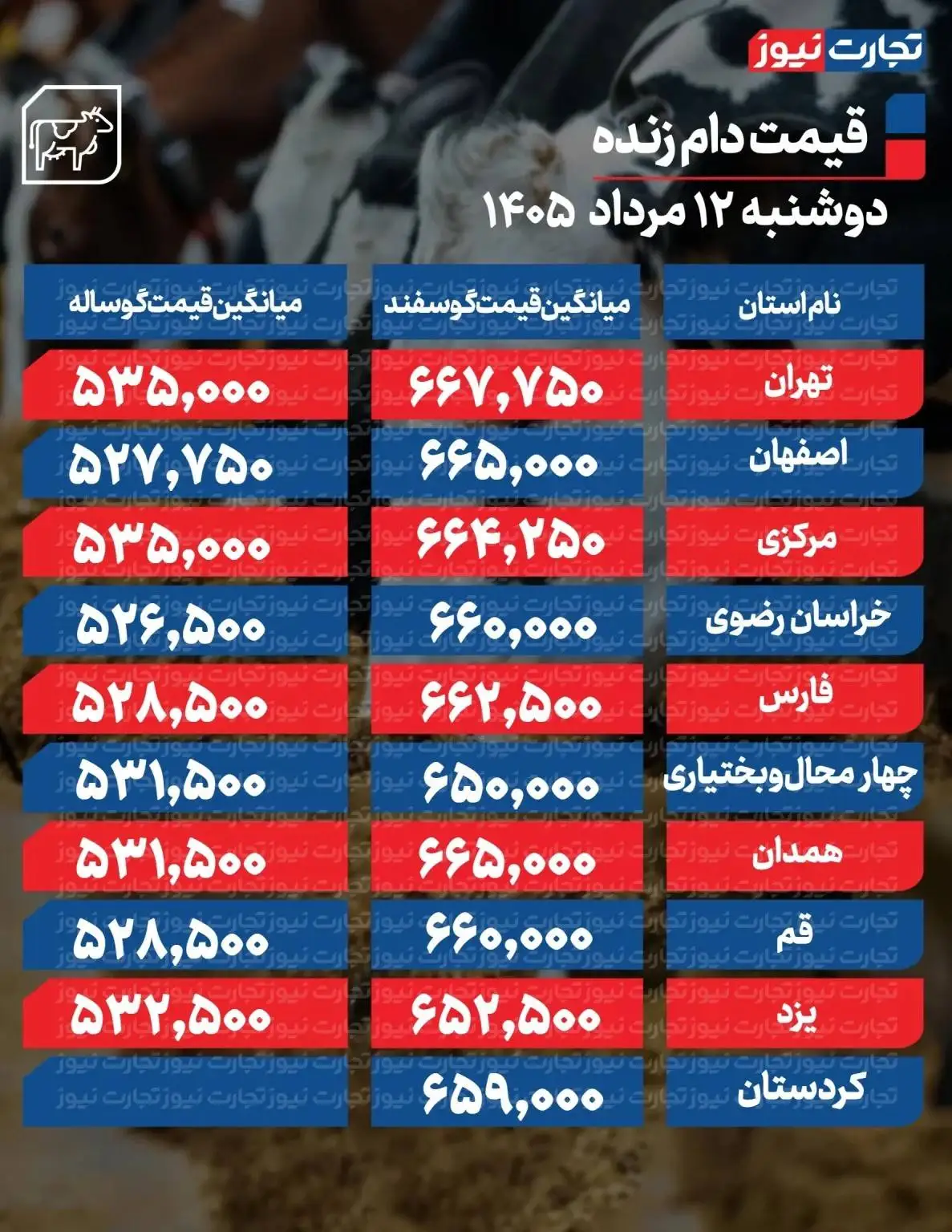 قیمت جدید دام زنده امروز 12 مرداد 1405 - ارزان ترین گوسفند در این منطقه به فروش می رود + جدول