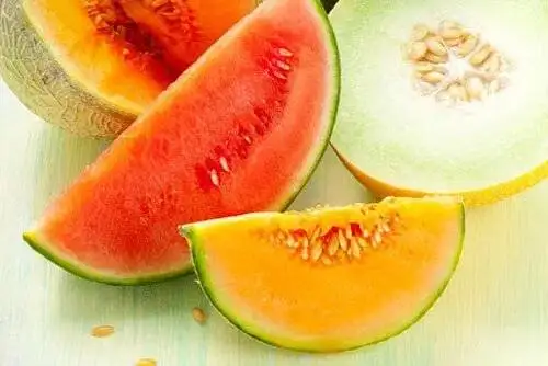 هندوانه یا طالبی؛ کدام برای قند خون بهتر است؟