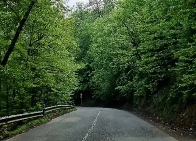 قشنگ ترین جاده های ایران؛ 10 مسیر دیدنی و خنک برای سفر تابستانی
