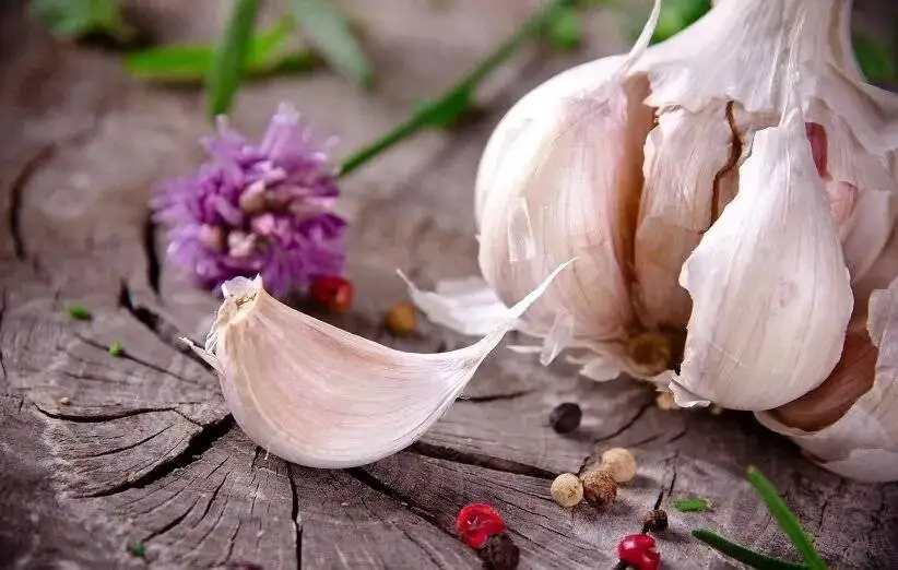 سیر را در یخچال نگذارید؛ قانون طلایی نگهداری سیر