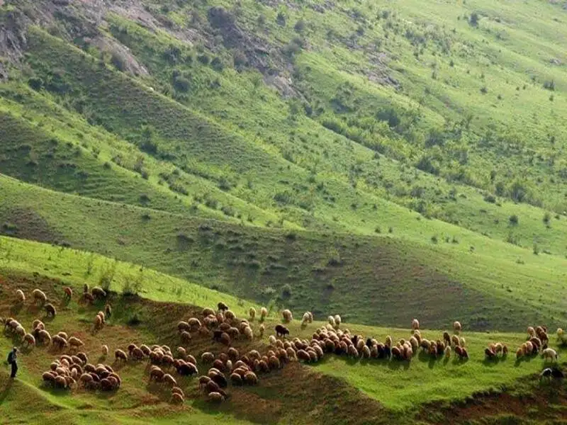 هوراند؛ شهر گمشده در جنگل های ارسباران با قلعه های هزارساله