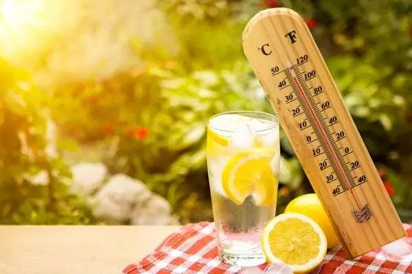 در هوای گرم مراقب روده هایتان باشید - 5 اقدام کلیدی برای پیشگیری از گرمازدگی - گرمازدگی چه عوارضی می تواند روی بدن ایجاد کند؟