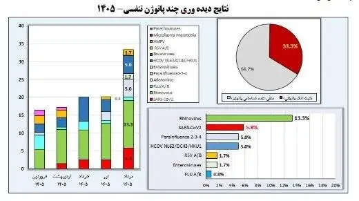 شیوع آنفلوآنزای تابستانی در کشور - 2 استان بالاتر از وضعیت هشدار ابتلا