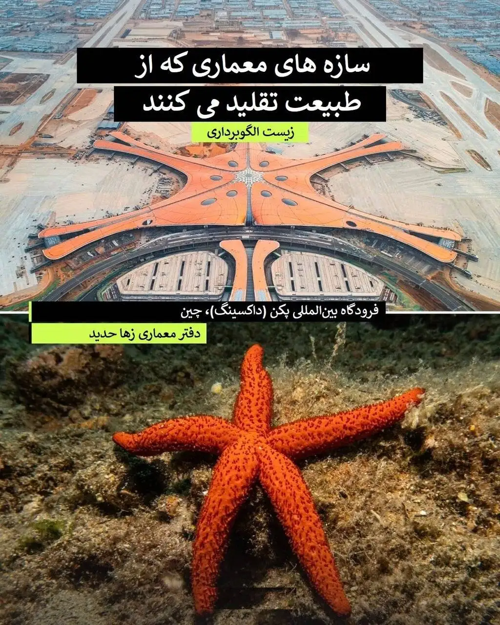 امضای طبیعت پای شاهکارهای مدرن