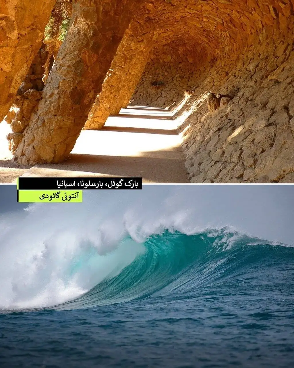 امضای طبیعت پای شاهکارهای مدرن
