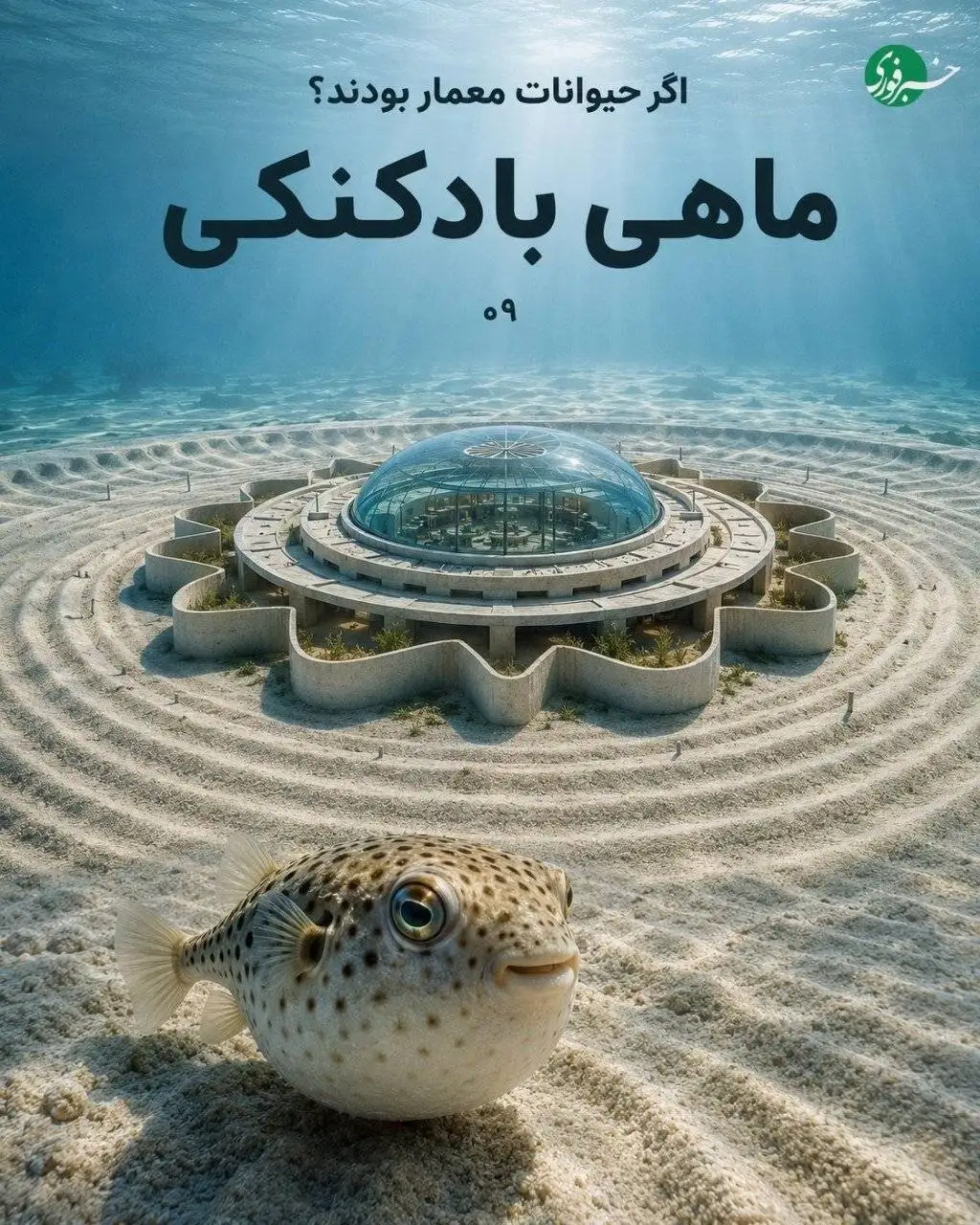 تصاویر  -  اگر حیوانات ساختمان می ساختند چه شکلی میشد؟ معماری هایی که از دل طبیعت الهام گرفته اند