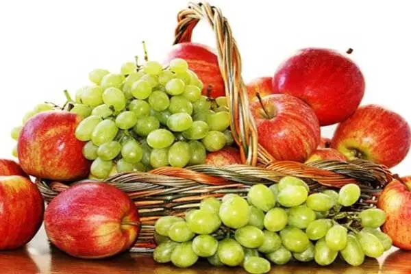 معجزه این میوه ها برای کلیه؛ 8 میوه مفید و 6 میوه مضر برای کلیه