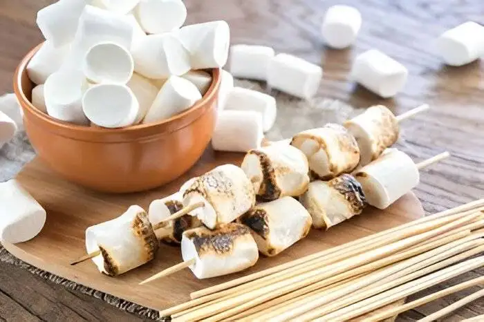 آیا مارشمالو را کباب می کنند؟ ؛ روش کباب کردن مارشمالو روی آتش، اجاق گاز و فر