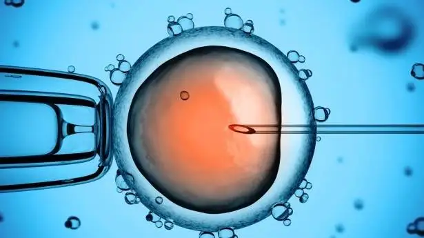 کمبود این ویتامین شانس موفقیت ivf را کم می کند؟