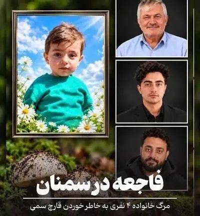 جزئیات مرگ شوکه کننده 4 عضو یک خانواده با مسمومیت جالب - کودک 2-5 ساله در بین قربانیان + عکس