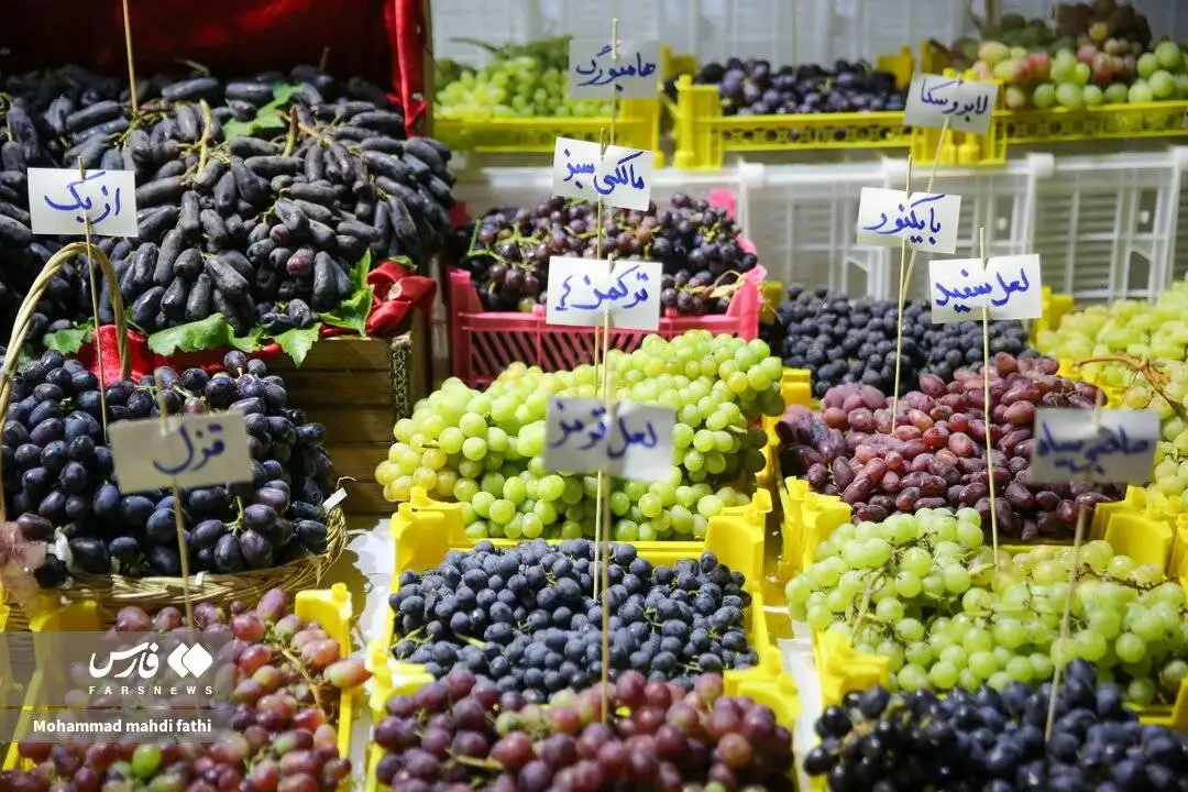 مصرف ناشتای این میوه فشار خون را تنظیم می کند