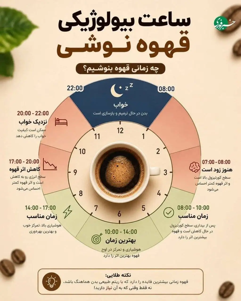 بهترین زمان نوشیدن قهوه طبق ساعت بیولوژیک بدن - چه ساعاتی قهوه نخوریم؟
