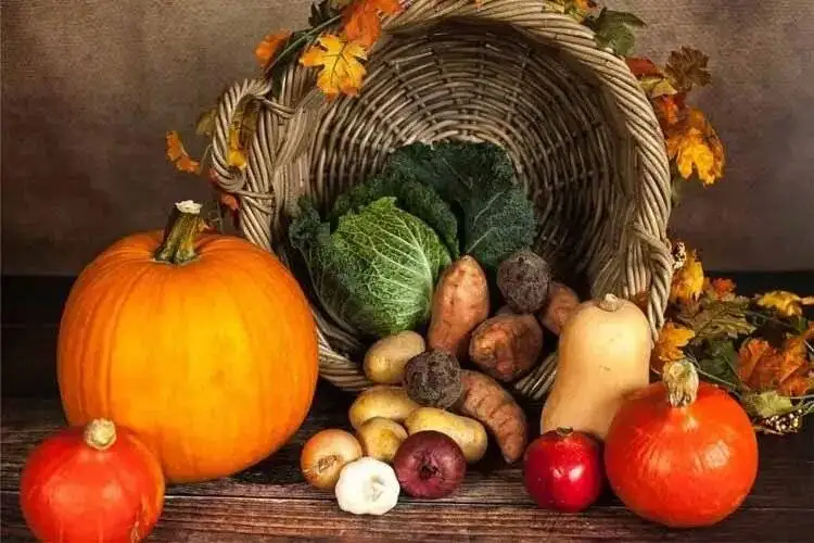 با این خوراکی ها بدنتان را در پاییز قوی کنید