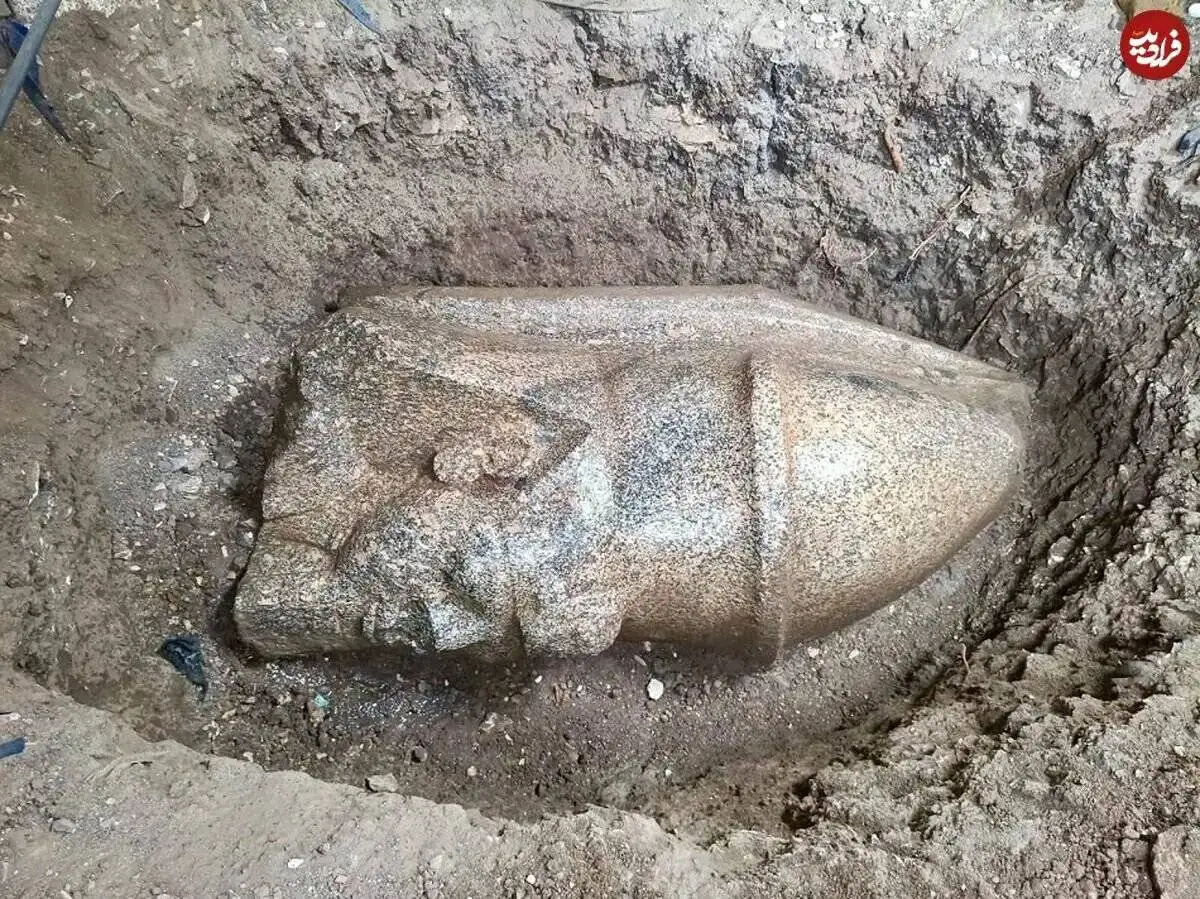 مجسمه غول پیکر فرعون از زیر خاک بیرون آمد + تصاویر - سر مجسمه 1.6 متر ارتفاع دارد