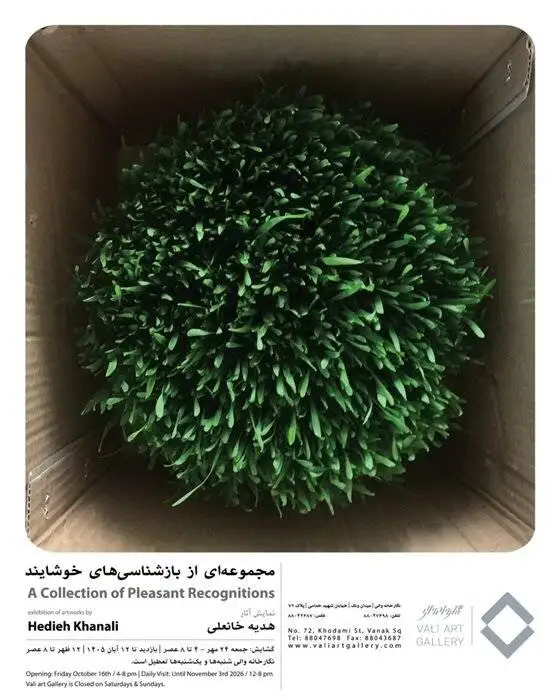 گالری گردی در آخرین جمعه مهر 1405