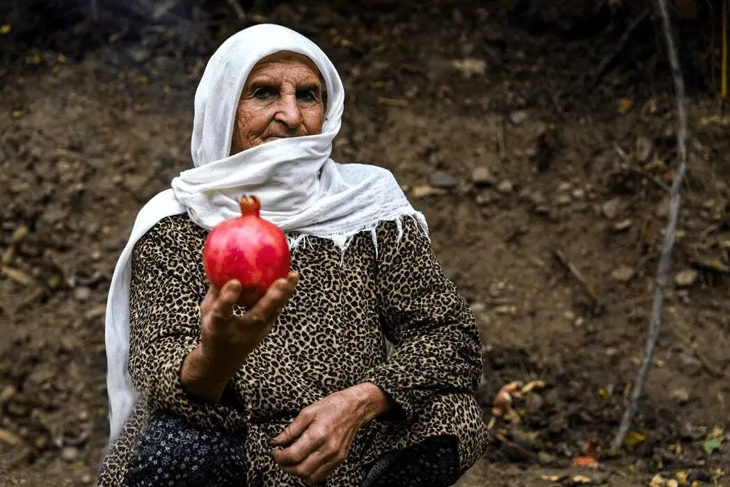 سرخ مثل انار  -  تصاویری دیدنی از برگزار شدن سومین جشنواره انار در خلخال