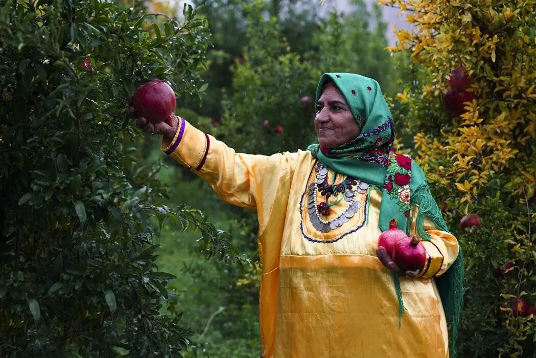 سرخ مثل انار  -  تصاویری دیدنی از برگزار شدن سومین جشنواره انار در خلخال