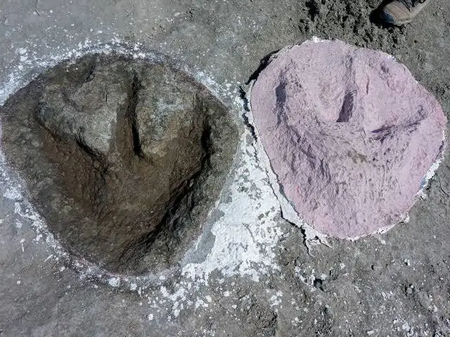 کشف ردپای 70 سانتی متری دایناسور پس از 160 میلیون سال از دل زمین!