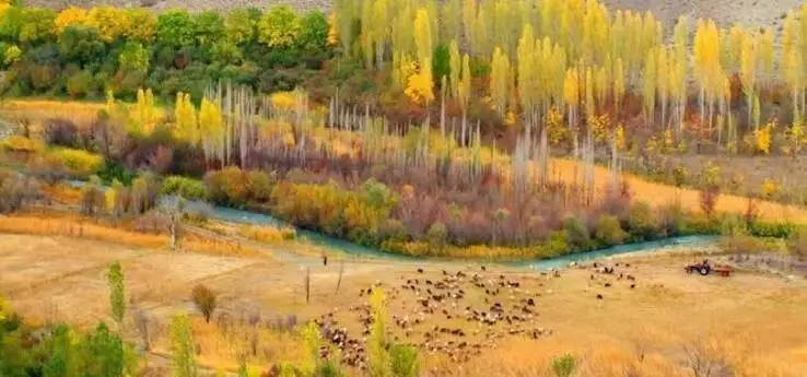 پاییز را کجا تماشا کنیم؟ 6 مقصد جذاب پاییزی نزدیک تهران