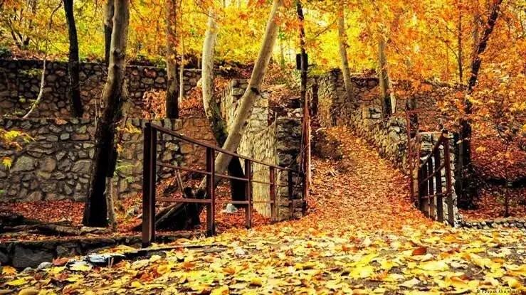 پاییز را کجا تماشا کنیم؟ 6 مقصد جذاب پاییزی نزدیک تهران