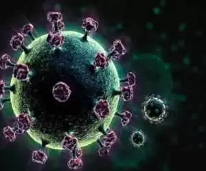 آمریکا ویروسی کشنده تر از کرونا ساخت!
