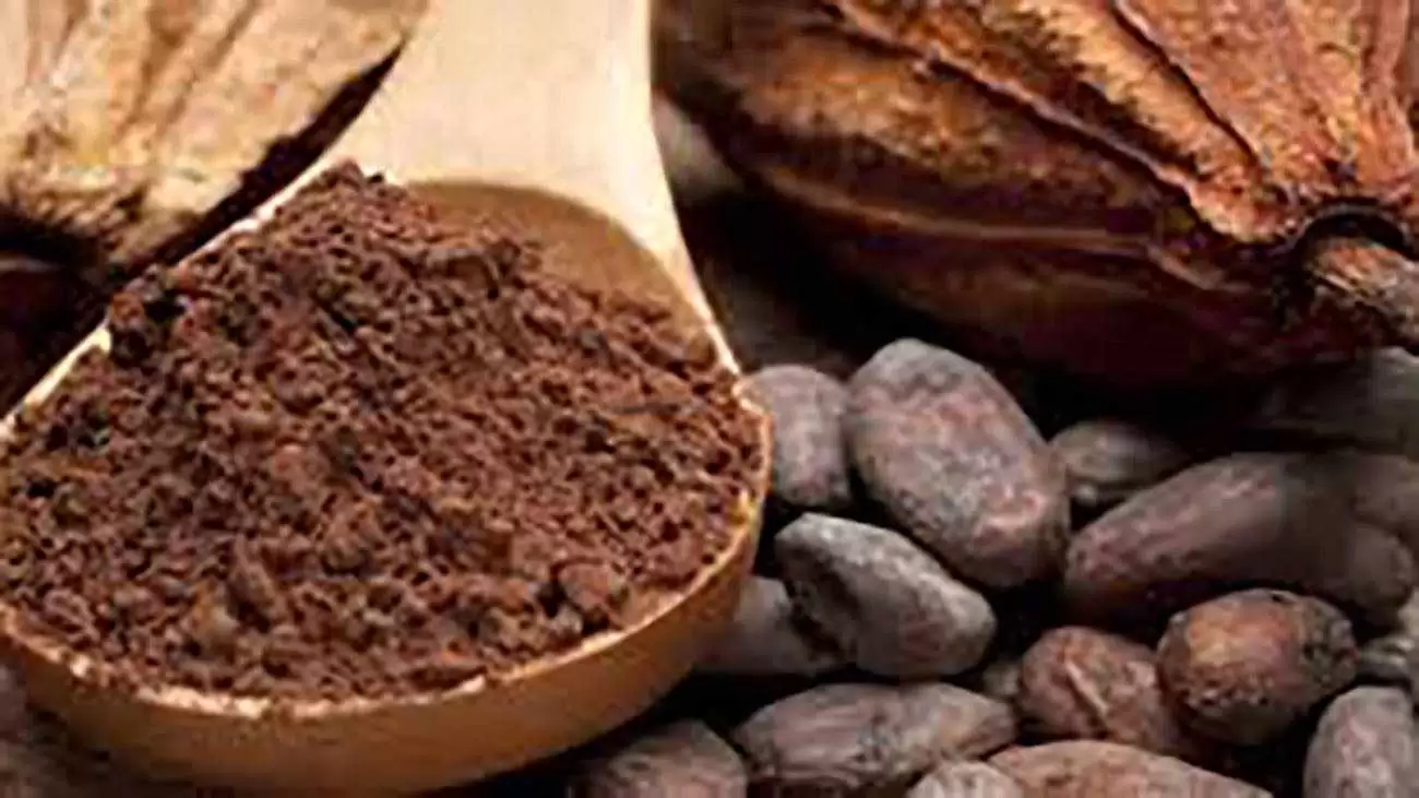سالمندان کاکائو بخورند تا آلزایمر نگیرند