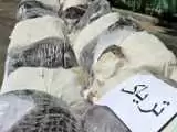 کشف بیش از 80 کیلو تریاک از یک دستگاه کامیون در شهرستان حاجی آباد