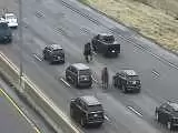 (فیلم) ترافیک در بزرگراه اوهایو؛ اسب های فراری پلیس خلاف جهت جاده تاختند