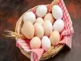 قیمت تخم مرغ در بازار امروز 9 فروردین 1403