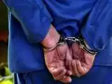 بازداشت سارق تحت تعقیب در کوه چنار