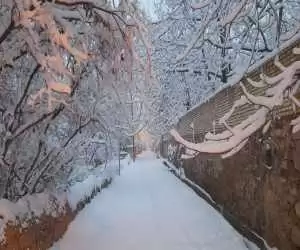 ویدیو  -  بارش شدید برف در یکی از روستاهای استان یزد