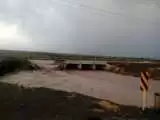 ویدیو  -  ثبت یک لحظه ترسناک؛ پژو 206 را سیلاب در کوشکنار پارسیان با خود برد!