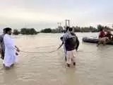(فیلم) سیلابِ کوشکنار، 206 را با خود برد