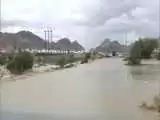 (فیلم) جاری شدن سیل در عمان