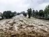 (فیلم) فوت 3 نفر بر اثر سیلاب در سیستان و بلوچستان