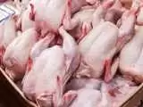 قیمت گوشت مرغ در بازار امروز 29 فروردین 1403