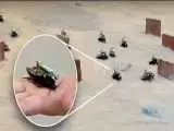 ویدیو  -  ارتش سوسک های رباتیک مجهز به کوله پشتی رایانه ای در بیابان