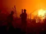 ویدیو  -  فوری؛ نخستین تصاویر از آتش سوزی فضای سبز در بزرگراه همت!