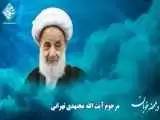 ویدیو  -  سعدی خوانی مرحوم آیت الله مجتهدی تهرانی