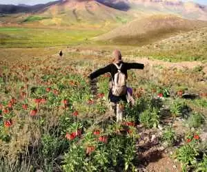 سفر در بهشت اردیبهشت  -  پیشنهادهایی برای سفر به رویایی ترین شهرهای ایران در قشنگ ترین ماه سال