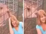 (فیلم) شتر موهای سر یک زن را کند و خورد!