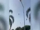 لحظه ناگوار تصادف 2 بالگرد نظامی  -  10 سرنشین کشته شدند + ویدیو
