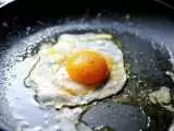 برای حفظ سلامتی روزی چند عدد تخم مرغ بخوریم؟