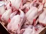 قیمت مرغ در بازار امروز 5 اردیبهشت 1403