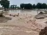 نجات 18 نفر گرفتار در سیل روستای شادکام بافق  -  ویدئو