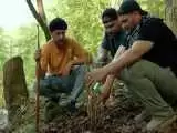 (فیلم) کاشت نهال به جای درختان قطع شده در جنگل های هیرکانی