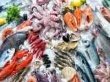 آیا غذا های دریایی سرطان زا هستند؟