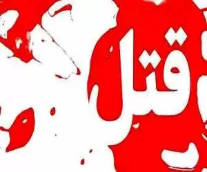 قتل ناگوار مادر با ضربات دمل در خیابان پاسداران تهران + جزئیات