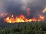 افزایش 353 درصدی آتش سوزی در طبیعت ایران  -  بیشترین آتش سوزی جنگل در چه ساعاتی رخ می دهد؟